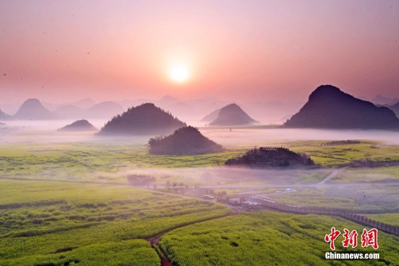 云南罗平：雾里看花别样景