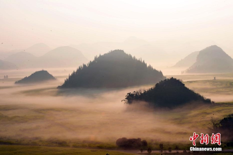 云南罗平：雾里看花别样景