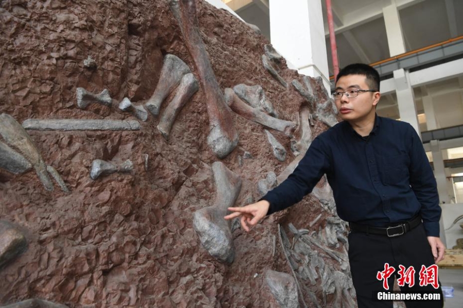 重庆发现亚洲最古老的剑龙化石