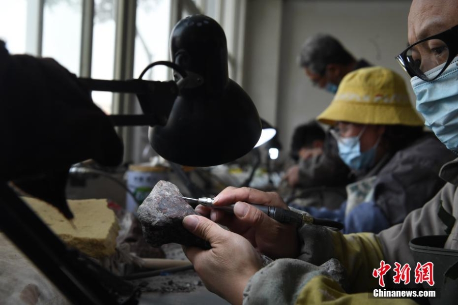 重庆发现亚洲最古老的剑龙化石