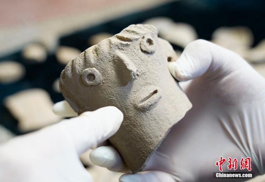 甘肃静宁出土200余件仰韶文化文物标本