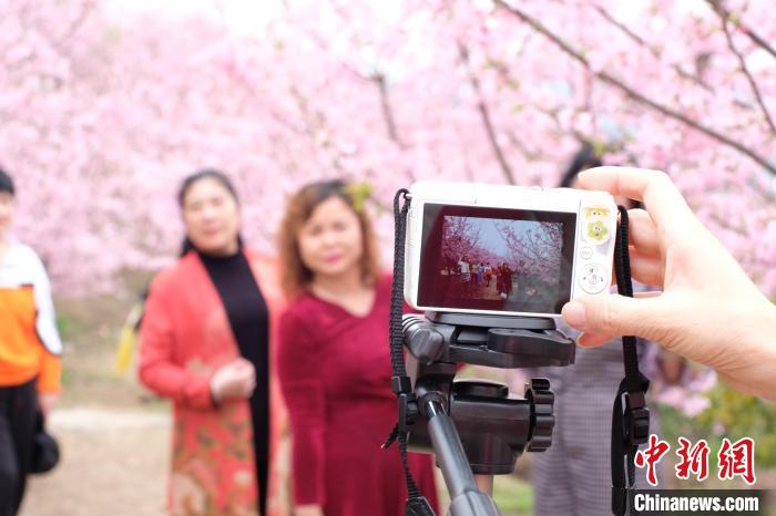 游客使用数码相机为亲友拍照。　刘俊聪 摄