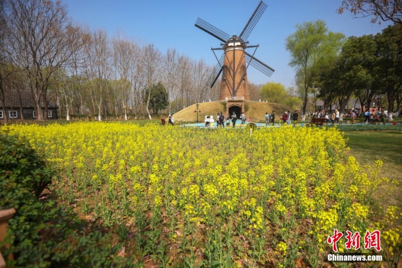 古都南京花红柳绿春意盎然
