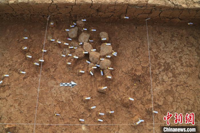 石制品密集分布状况。　陕西省考古研究院供图