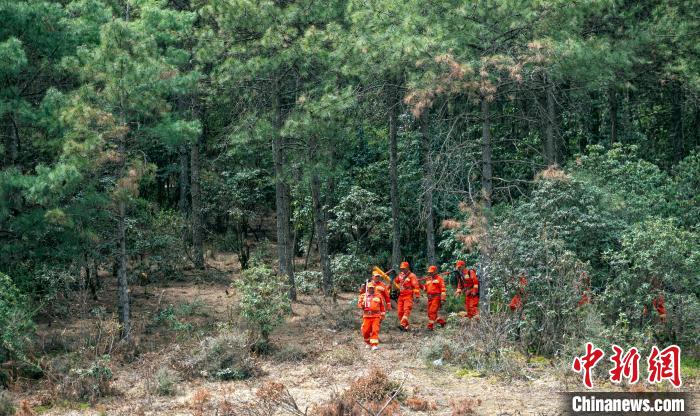 宁南县专业森林防灭火队员正在林间开展徒步巡防。　刘忠俊 摄