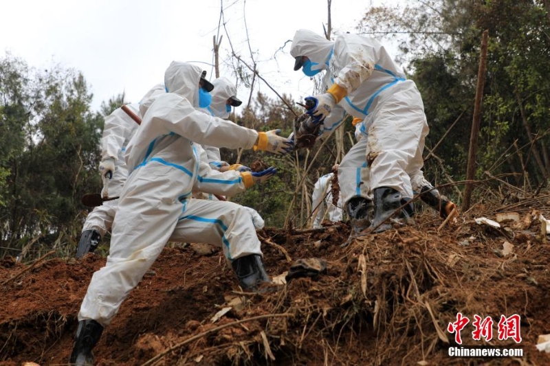 东航坠机救援现场：武警官兵分批次、分区域搜索