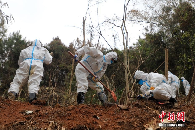 东航坠机救援现场：武警官兵分批次、分区域搜索