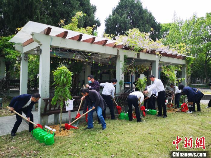 与会人员和师生代表在台州初级中学种下紫藤花苗　范宇斌　摄