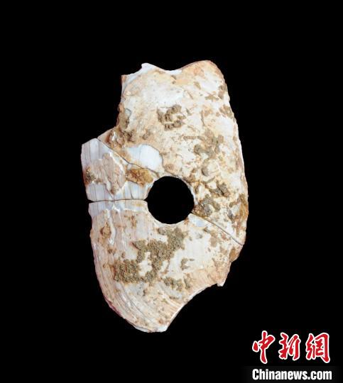 英德青塘遗址出土的代表文物穿孔蚌器 广东省文旅厅 供图