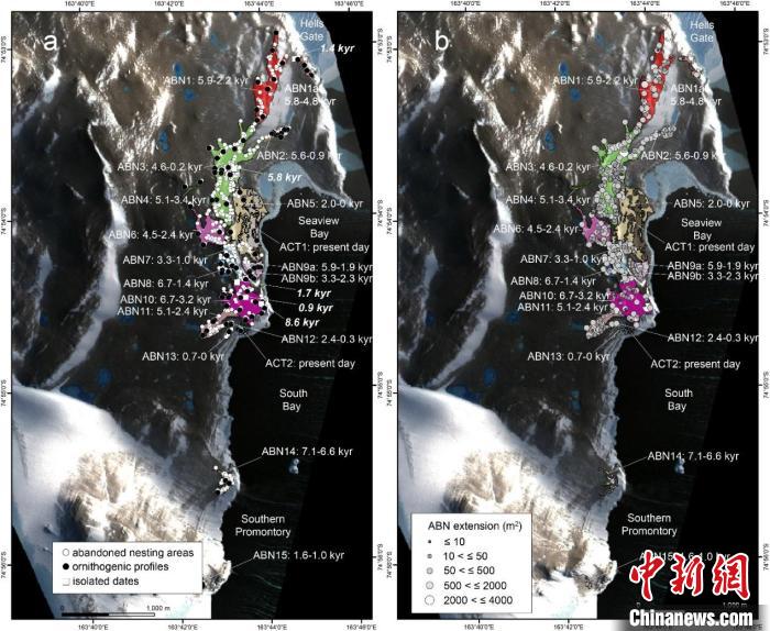 中外学者合作揭示罗斯海最古老企鹅繁殖地历史