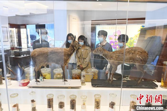 观众在博物馆参观。　安源 摄