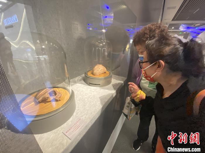 两位参观者在观赏60万年前的“南京人”化石。　申冉 摄