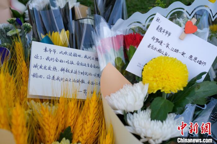 5月22日，在西南大学校园内的袁隆平雕像前的花束中，学生们的留言。　何蓬磊 摄