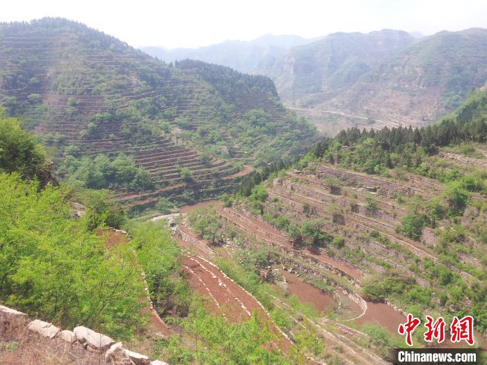河北涉县旱作石堰梯田系统被认定为全球重要农业文化遗产