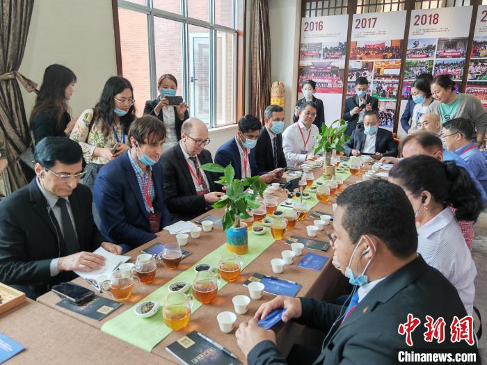 外国专家们品茶。　湖南省科技厅供图