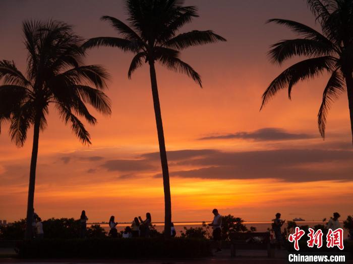 海口湾落日美景。　凌楠 摄