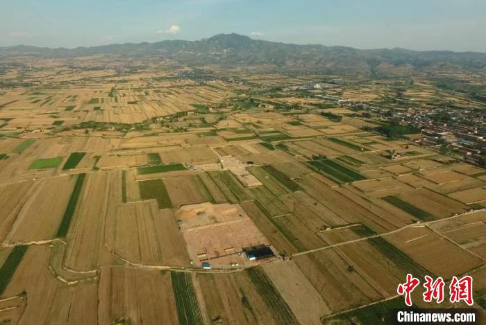 陶寺北墓地全貌(自西向东) 山西省考古研究院供图