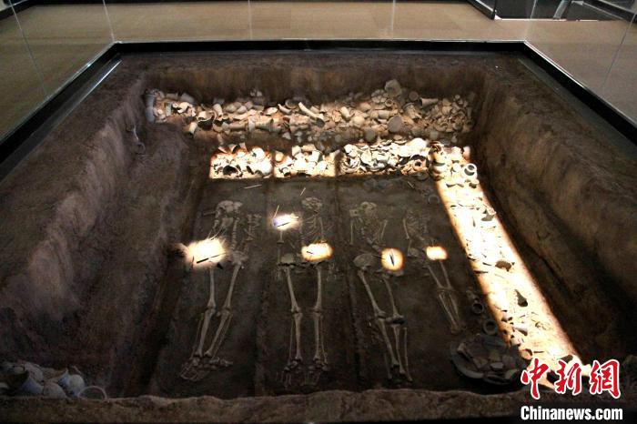 6月10日，山东博物馆内，展出滕州岗上遗址发掘出的四人一次合葬墓。　孙婷婷 摄