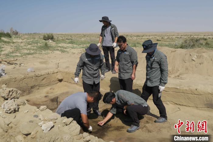 中沙考古队员发掘塞林港遗址。　受访者供图