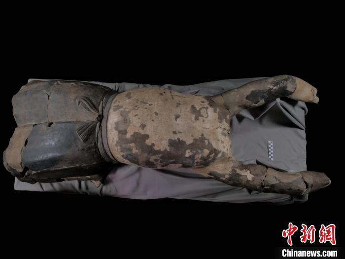 秦始皇帝陵博物院首次公布修复完成的“仰卧俑”