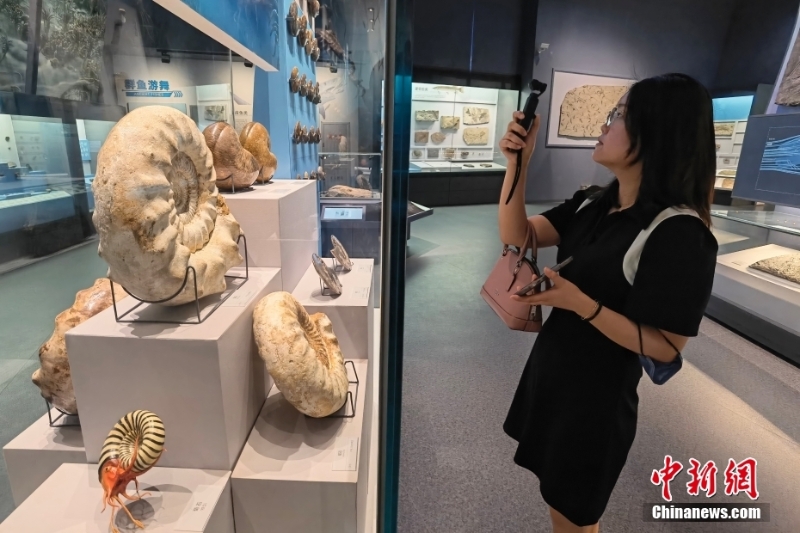探访布展完毕的四川成都自然博物馆