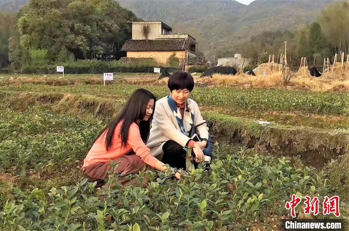 林翠花(左一)与专家探讨农业种植技术。　林翠花 供图