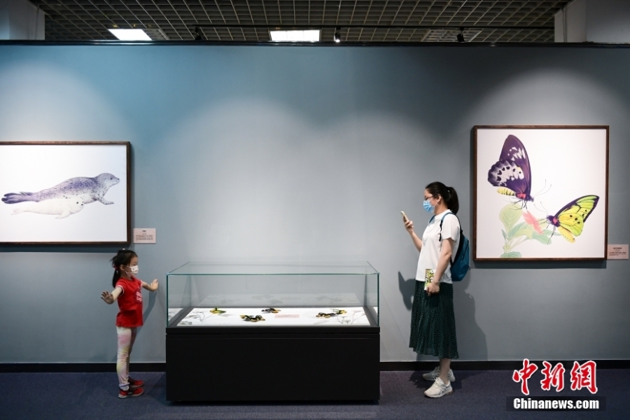“科学与艺术——科学画与生物标本展”在北京自然博物馆开展