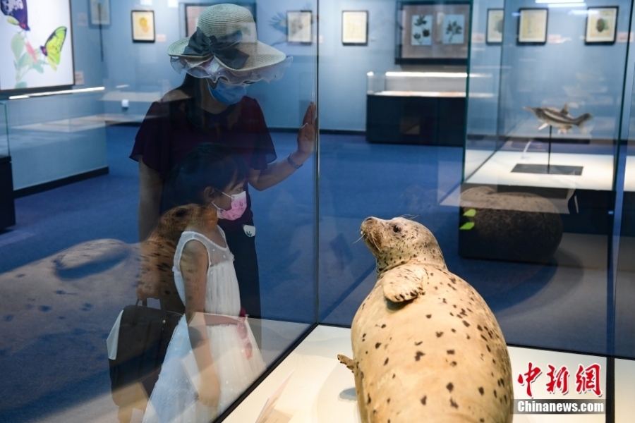 “科学与艺术——科学画与生物标本展”在北京自然博物馆开展