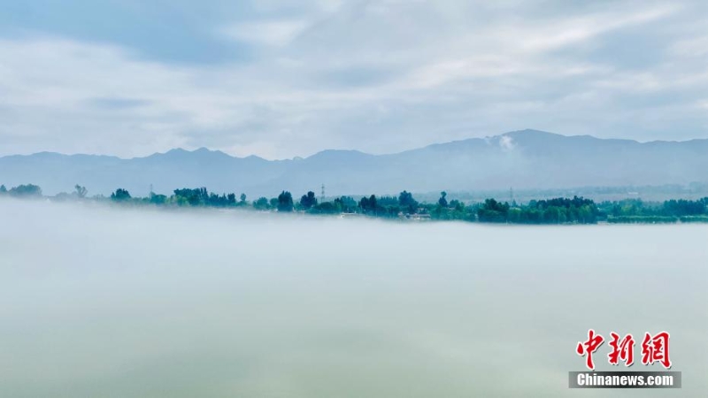 青海尖扎：薄雾、群山、绿树勾勒黄河夏日图景