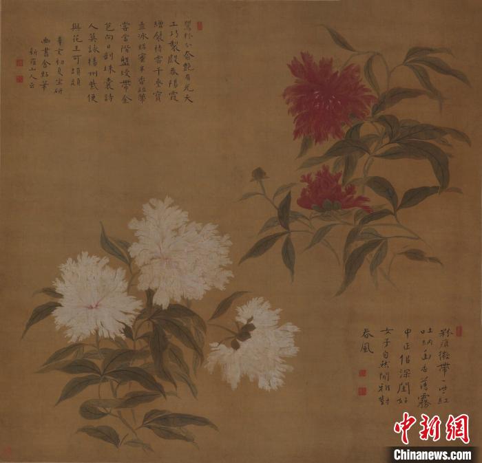 紅白芍藥圖 清 華喦 軸 93.5x97.5釐米 絹本設色 1731年 中國美術館供圖