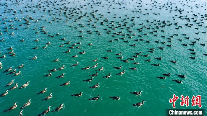 黄河源头十年湿地面积增加104平方公里