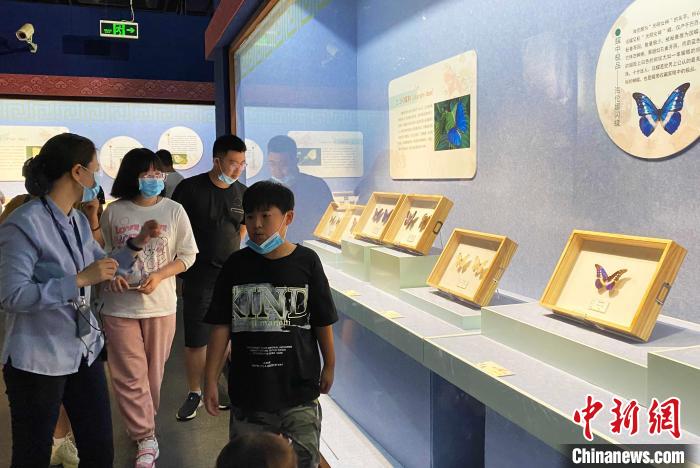 “名蝶精粹与蝶文化展”在江苏扬州展出，吸引众多民众观展。　崔佳明 摄
