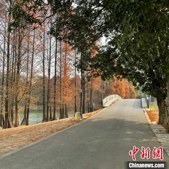 华南国家植物园在广州揭牌