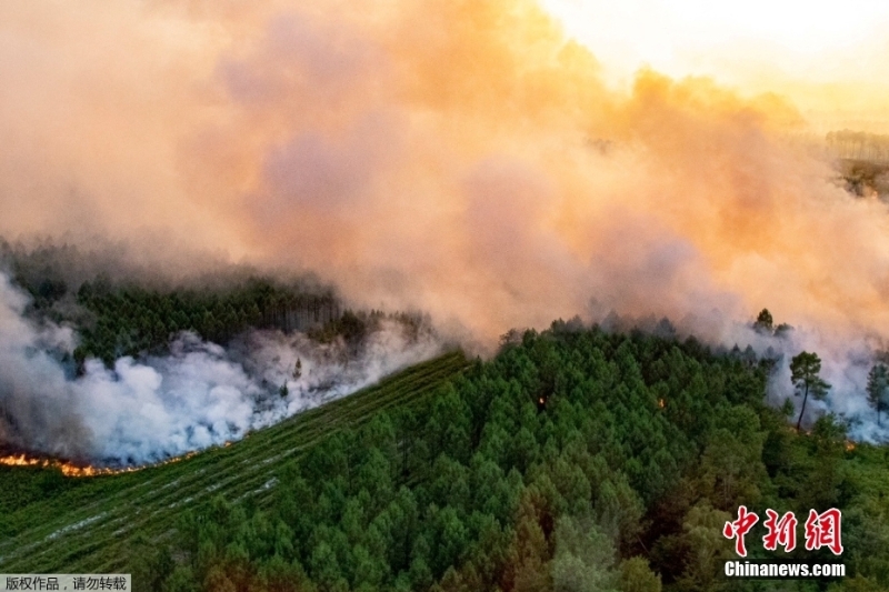 法国林火持续蔓延 过火面积达上万公顷