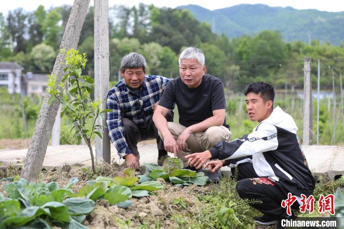 “85後”台青的貴州“新農人”生活