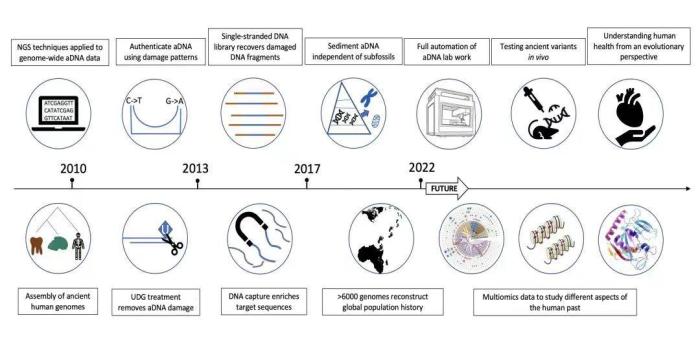 2010年以来古DNA技术发展的重要里程碑。　付巧妹团队 供图
