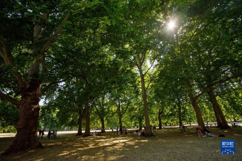 7月19日，人们在英国伦敦一处公园纳凉。当日11时，英国达到39.1摄氏度的历史最高温度。（图源：新华社）