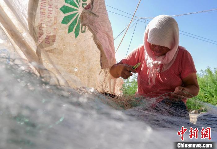 河北省唐山市丰南区黑沿子镇渔民正在织鱼网。　崔光 摄