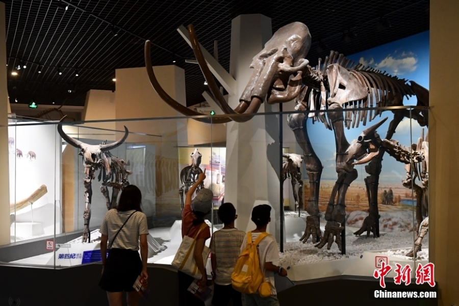 北京自然博物馆开启2022年“博物馆之夜”