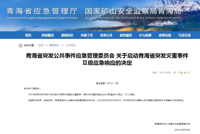 青海省应急管理厅网站截图