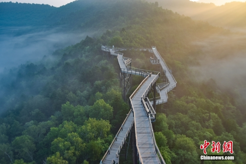 【美丽中国·网络媒体生态行】“绿动”陕西 三秦大地描绘“只此青绿”生态图景