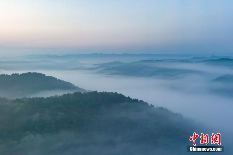 【美丽中国·网络媒体生态行】“绿动”陕西 三秦大地描绘“只此青绿”生态图景