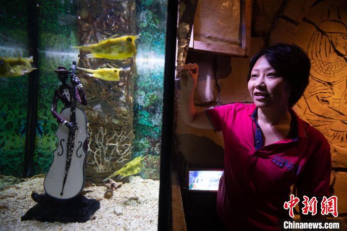王媛媛还要负责喂养海洋馆里的各类动物 高博 摄