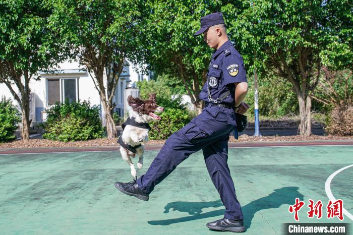 广西南宁铁路警方高温天气坚持训犬确保暑运安全