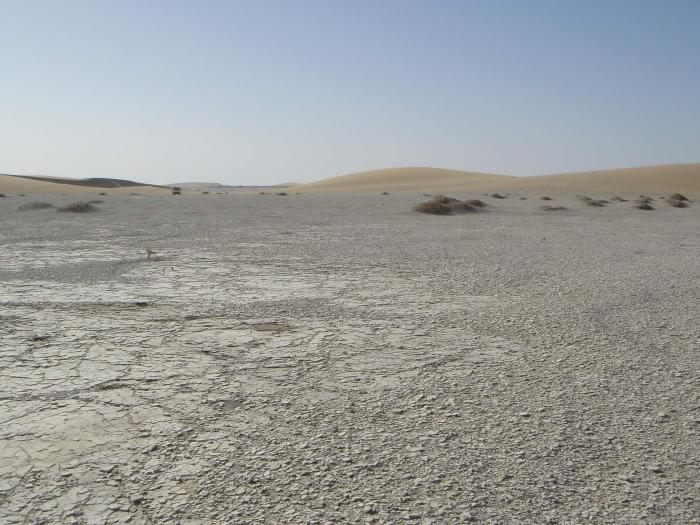 沙漠2，这里是发现乍得沙赫人化石的地方(图源：论文作者)。　施普林格·自然 供图