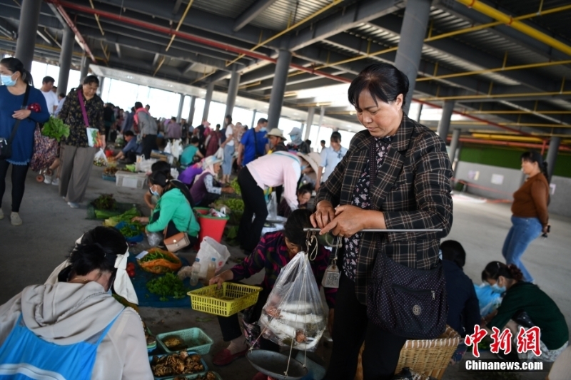 图为8月9日，陈兴菊在菜市场售卖野生菌。 <a target='_blank' href='/'>中新社</a>记者 刘冉阳 摄