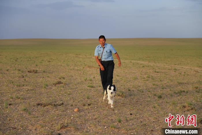 图为谢建民带着牧羊犬巡边。　胡东育 摄