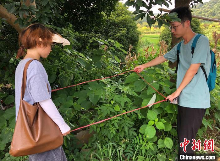 师生在普查外来入侵生物 林萱 摄