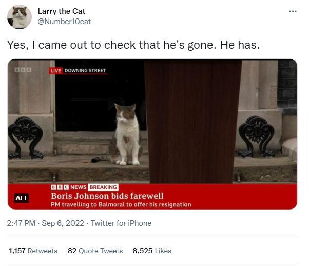 英国“第一猫”拉里现身约翰逊告别演说现场 图片来源：拉里的官方社交账号发文截图。