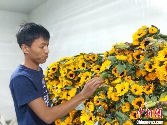 李建耀查看储备的鲜花情况。　赵国华 摄